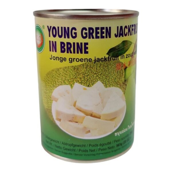 Jack Fruit In Brine, 565g